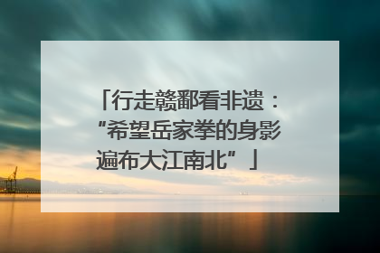 行走赣鄱看非遗：“希望岳家拳的身影遍布大江南北”