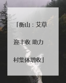 衡山：艾草迎丰收 助力村集体增收