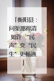 衡阳县：问渠那得清如许 “民声”变“民生”更畅通