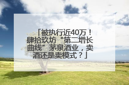 被执行近40万！肆拾玖坊“第二增长曲线”茅泉酒业，卖酒还是卖模式？