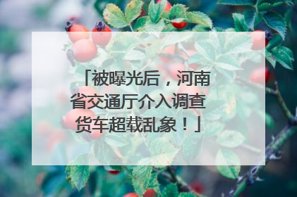 被曝光后，河南省交通厅介入调查货车超载乱象！