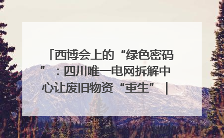 西博会上的“绿色密码”：四川唯一电网拆解中心让废旧物资“重生”｜西博寻“新”记