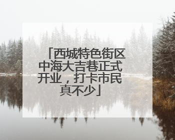 西城特色街区中海大吉巷正式开业，打卡市民真不少