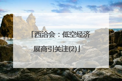 西洽会：低空经济展商引关注(2)