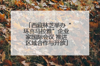 西藏林芝举办“环喜马拉雅”企业家国际会议 推进区域合作与开放