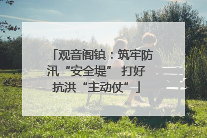 观音阁镇：筑牢防汛“安全堤” 打好抗洪“主动仗”