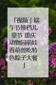 视频｜端午节撞档儿童节 重庆动物园萌娃看萌兽吃特色粽子大餐