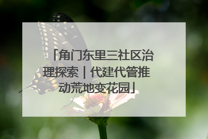 角门东里三社区治理探索｜代建代管推动荒地变花园