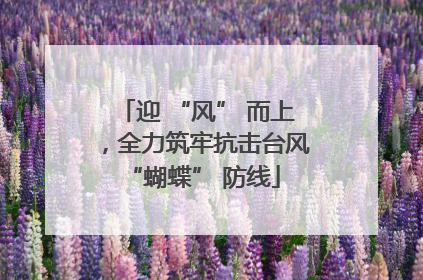 迎 “风” 而上，全力筑牢抗击台风 “蝴蝶” 防线