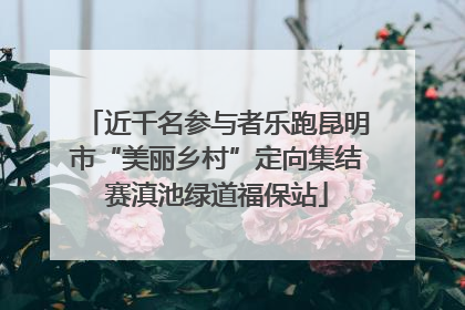 近千名参与者乐跑昆明市“美丽乡村”定向集结赛滇池绿道福保站