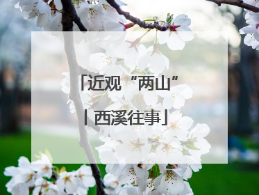 近观“两山”丨西溪往事