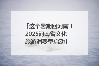 这个暑期回河南！2025河南省文化旅游消费季启动