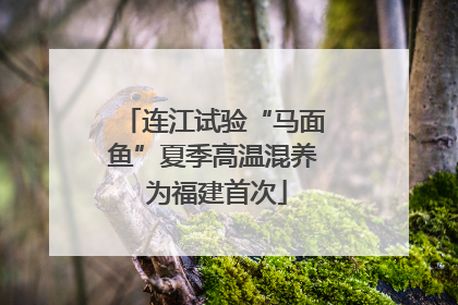 连江试验“马面鱼”夏季高温混养 为福建首次