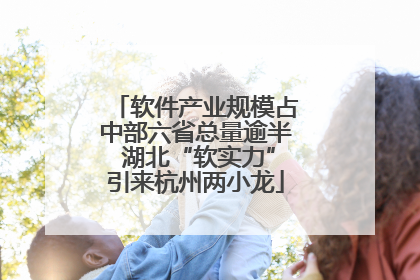 软件产业规模占中部六省总量逾半 湖北“软实力”引来杭州两小龙
