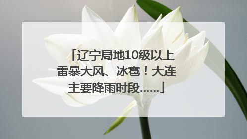 辽宁局地10级以上雷暴大风、冰雹！大连主要降雨时段……