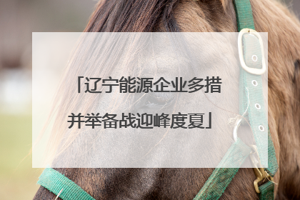 辽宁能源企业多措并举备战迎峰度夏