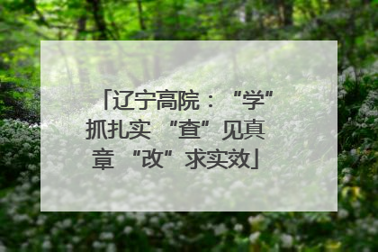 辽宁高院：“学”抓扎实 “查”见真章 “改”求实效