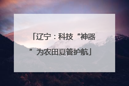 辽宁：科技“神器”为农田夏管护航