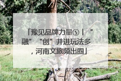 豫见品牌力量⑤丨“融”“创”并进玩法多，河南文旅频出圈