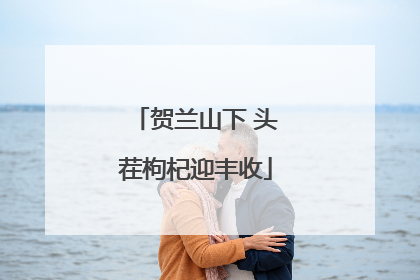 贺兰山下 头茬枸杞迎丰收