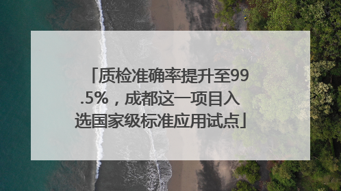 质检准确率提升至99.5%，成都这一项目入选国家级标准应用试点