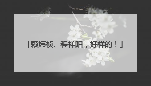 赖炜桢、程祥阳，好样的！