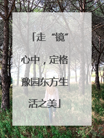 走“镜”心中，定格豫园东方生活之美