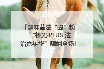 趣味普法“圈”粉，“椿光·PLUS 法治嘉年华”嗨翻全场