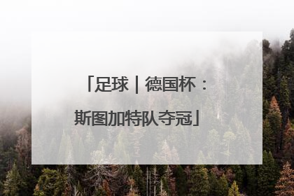 足球｜德国杯：斯图加特队夺冠