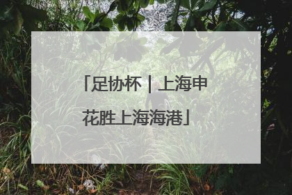 足协杯｜上海申花胜上海海港