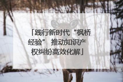践行新时代“枫桥经验” 推动知识产权纠纷高效化解