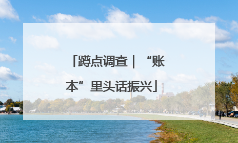 蹲点调查｜“账本”里头话振兴
