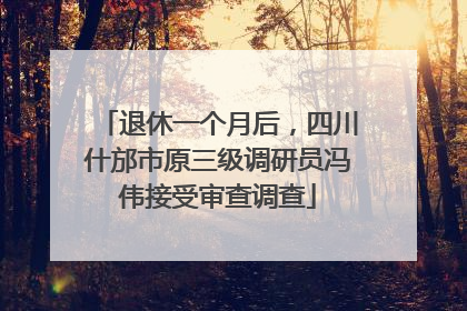 退休一个月后，四川什邡市原三级调研员冯伟接受审查调查