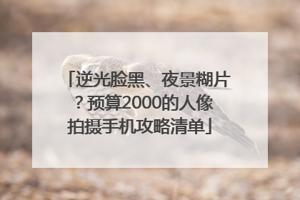 逆光脸黑、夜景糊片？预算2000的人像拍摄手机攻略清单