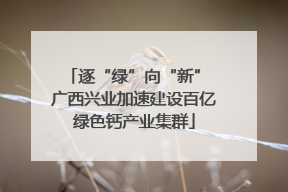 逐“绿”向“新” 广西兴业加速建设百亿绿色钙产业集群