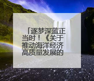 逐梦深蓝正当时！《关于推动海洋经济高质量发展的提案》背后的故事