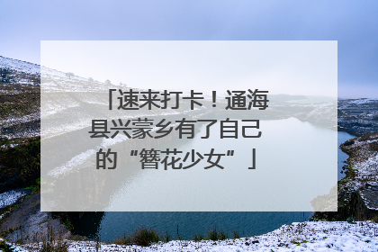 速来打卡！通海县兴蒙乡有了自己的“簪花少女”