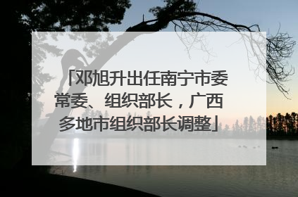 邓旭升出任南宁市委常委、组织部长，广西多地市组织部长调整