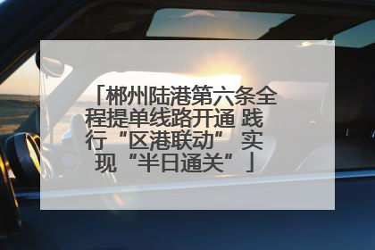 郴州陆港第六条全程提单线路开通 践行“区港联动” 实现“半日通关”