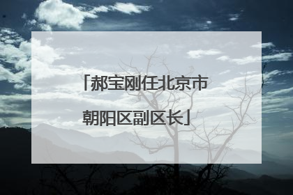 郝宝刚任北京市朝阳区副区长