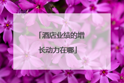 酒店业绩的增长动力在哪