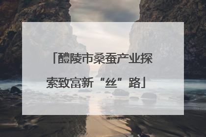 醴陵市桑蚕产业探索致富新“丝”路