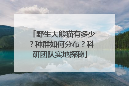 野生大熊猫有多少？种群如何分布？科研团队实地探秘