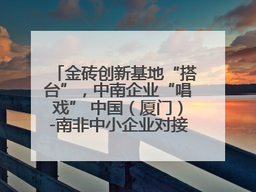 金砖创新基地“搭台”，中南企业“唱戏” 中国（厦门）-南非中小企业对接会在厦举办