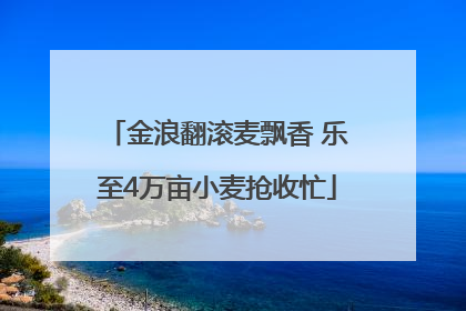 金浪翻滚麦飘香 乐至4万亩小麦抢收忙