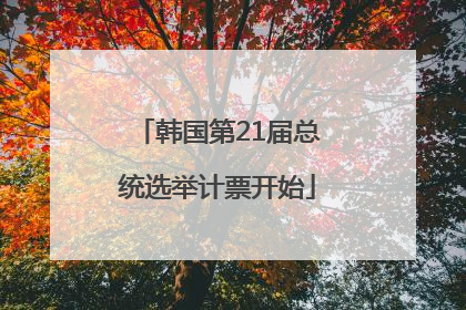 韩国第21届总统选举计票开始
