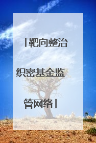 靶向整治织密基金监管网络