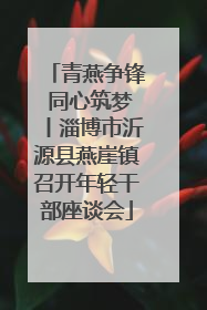青燕争锋 同心筑梦丨淄博市沂源县燕崖镇召开年轻干部座谈会