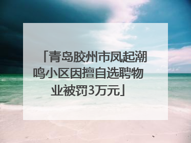 青岛胶州市凤起潮鸣小区因擅自选聘物业被罚3万元
