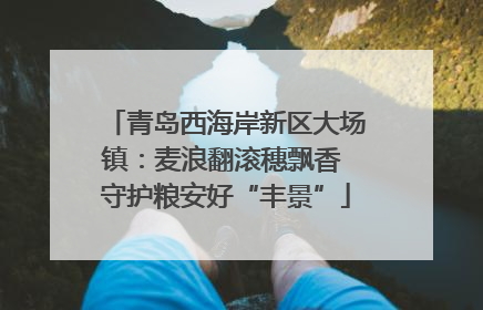 青岛西海岸新区大场镇：麦浪翻滚穗飘香 守护粮安好“丰景”